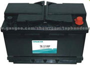 High Quality Battery for Car