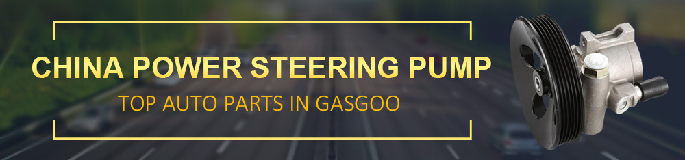 http://en.gasgoo.com/auto-products/power-steering-pump-556/