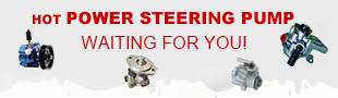 Promotion »Hot Power Steering Pump waiting for you!