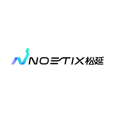 北京松延动力科技集团股份有限公司 Logo