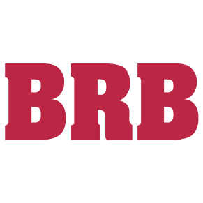 浙江百润轴承有限公司 Logo